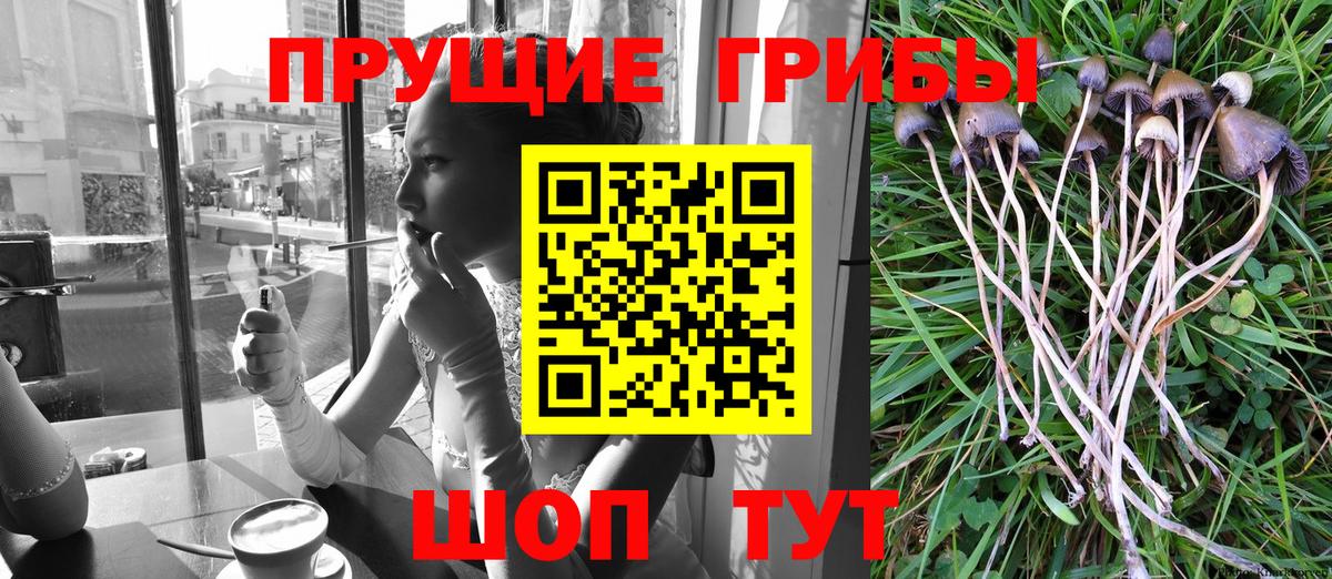 Миллерово  Псилоцибиновые грибы прущие грибы  Вход с VPN 