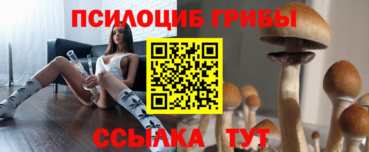 Псилоцибиновые грибы MAGIC MUSHROOMS Миллерово